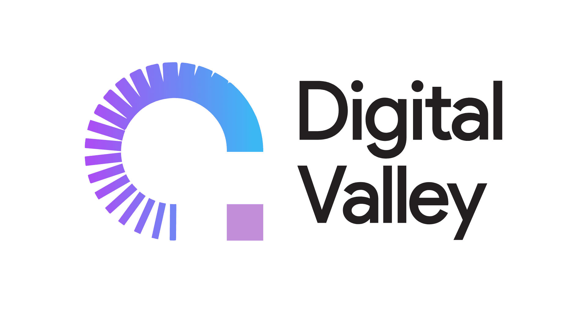 DIGITAL VALLEY